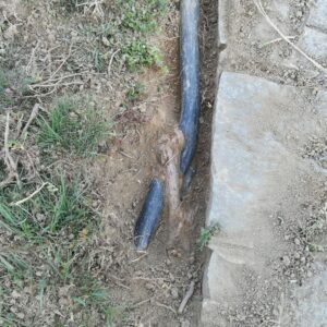 invasive tree root blocking pipe